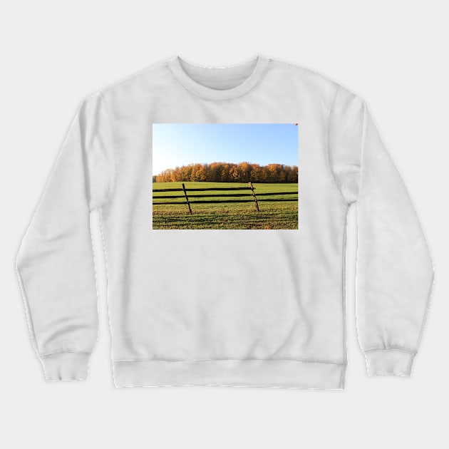 Knox Park Fall Trees and Falling Fence Crewneck Sweatshirt by JossSperdutoArt